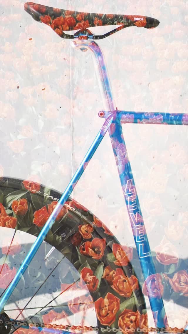 shoota0801 게시물 이미지: 🔵🔵🔵