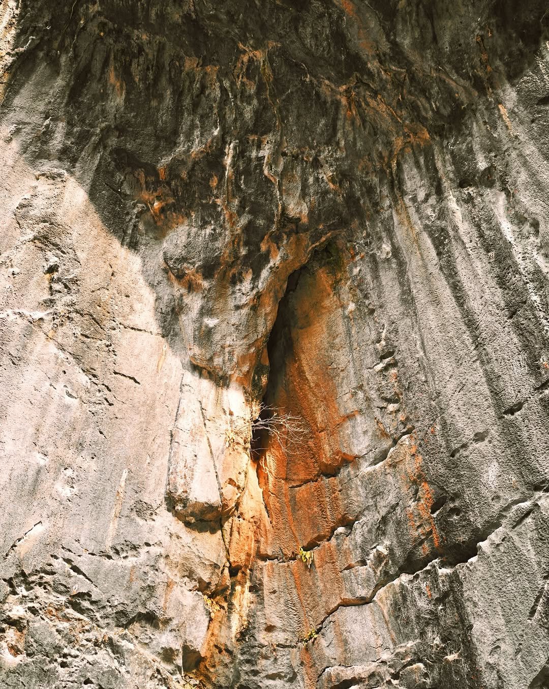 Photo by shota on February 27, 2026. May be an image of text.