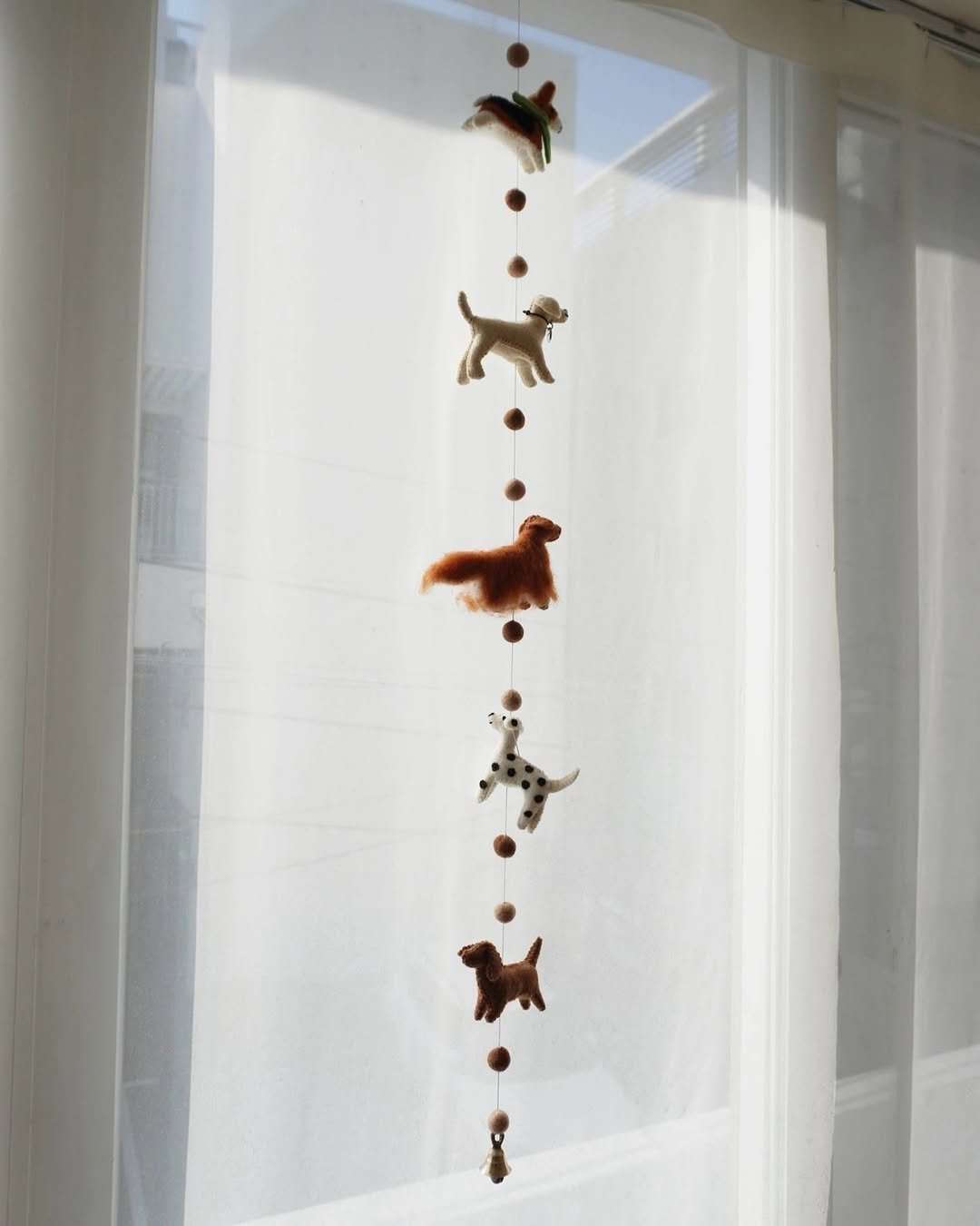 Photo by COSYMOSY 코지모지 on January 14, 2026. May be an image of slow loris, Norwich terrier, wind chime, curtains, window and text.
