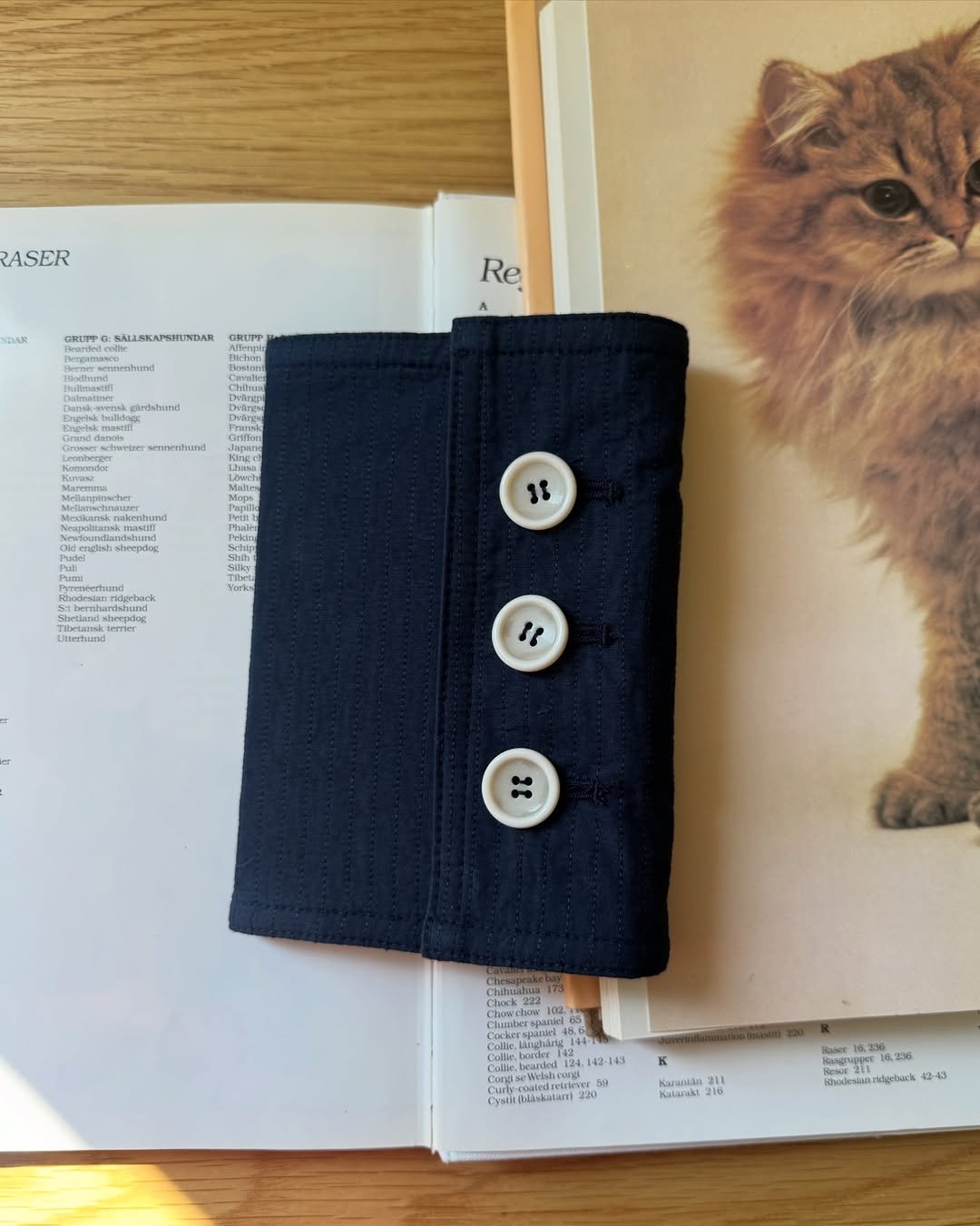 Photo by 코지모지 on January 28, 2026. May be an image of book, pencil case, wool and text.