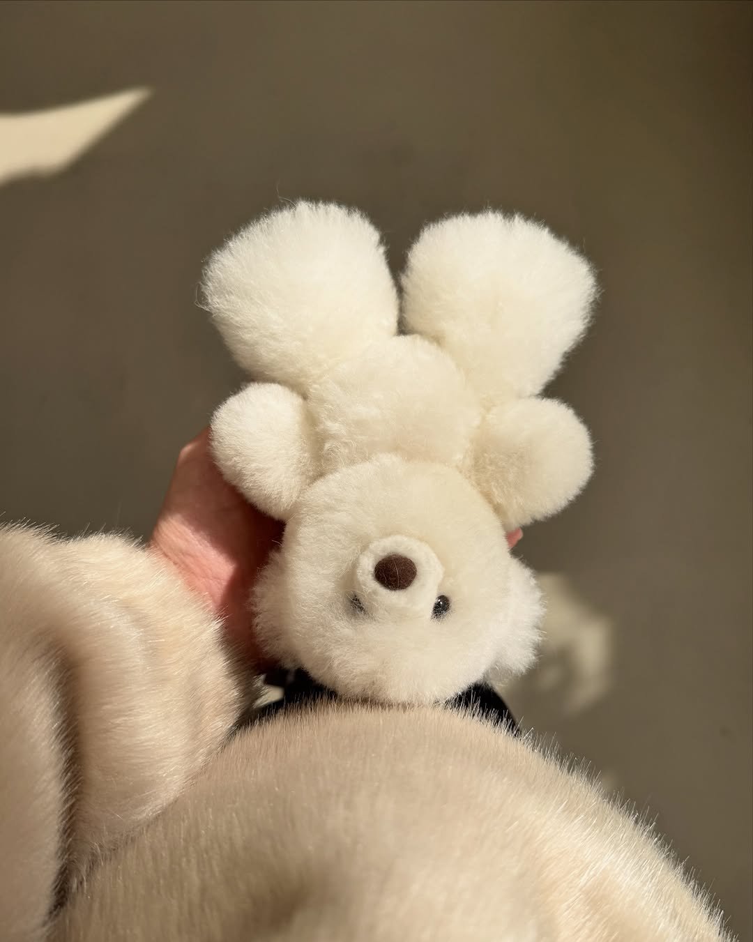 Photo by COSYMOSY 코지모지 on December 15, 2025. May be an image of fur and text.