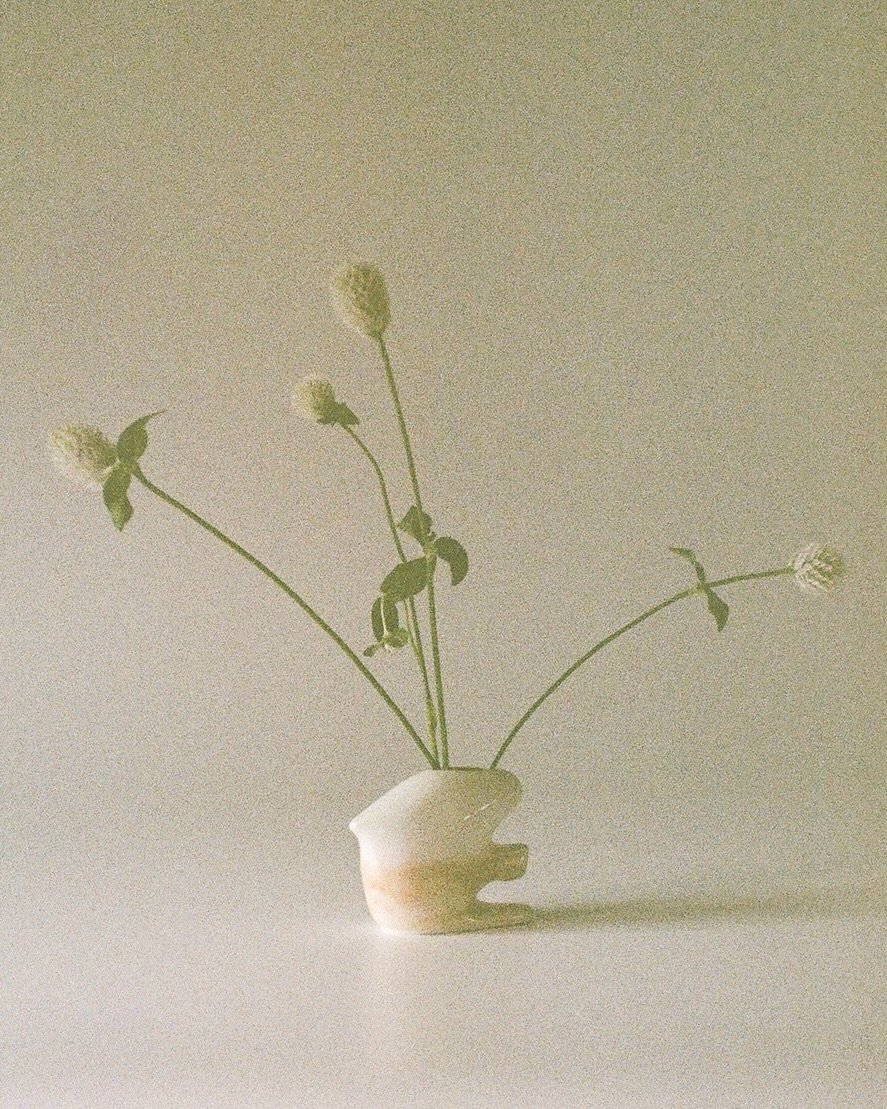 Photo by 코지모지 on January 07, 2026. May be an image of flower arrangement, vase, white clover, baby's-breath, globe amaranth and text.