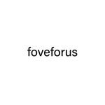foveforus 프로필 사진
