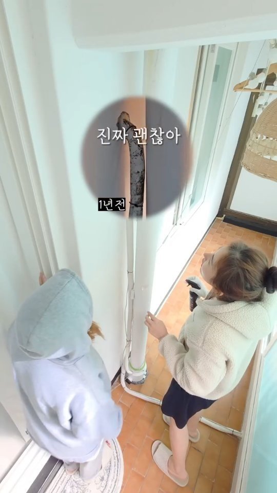 shoppingmom_up 게시물 이미지: 곰팡이가 정말 싫어하는 한 가지
스페시핏 곰팡이 제거제 공구💙
✔️공구기간 :...