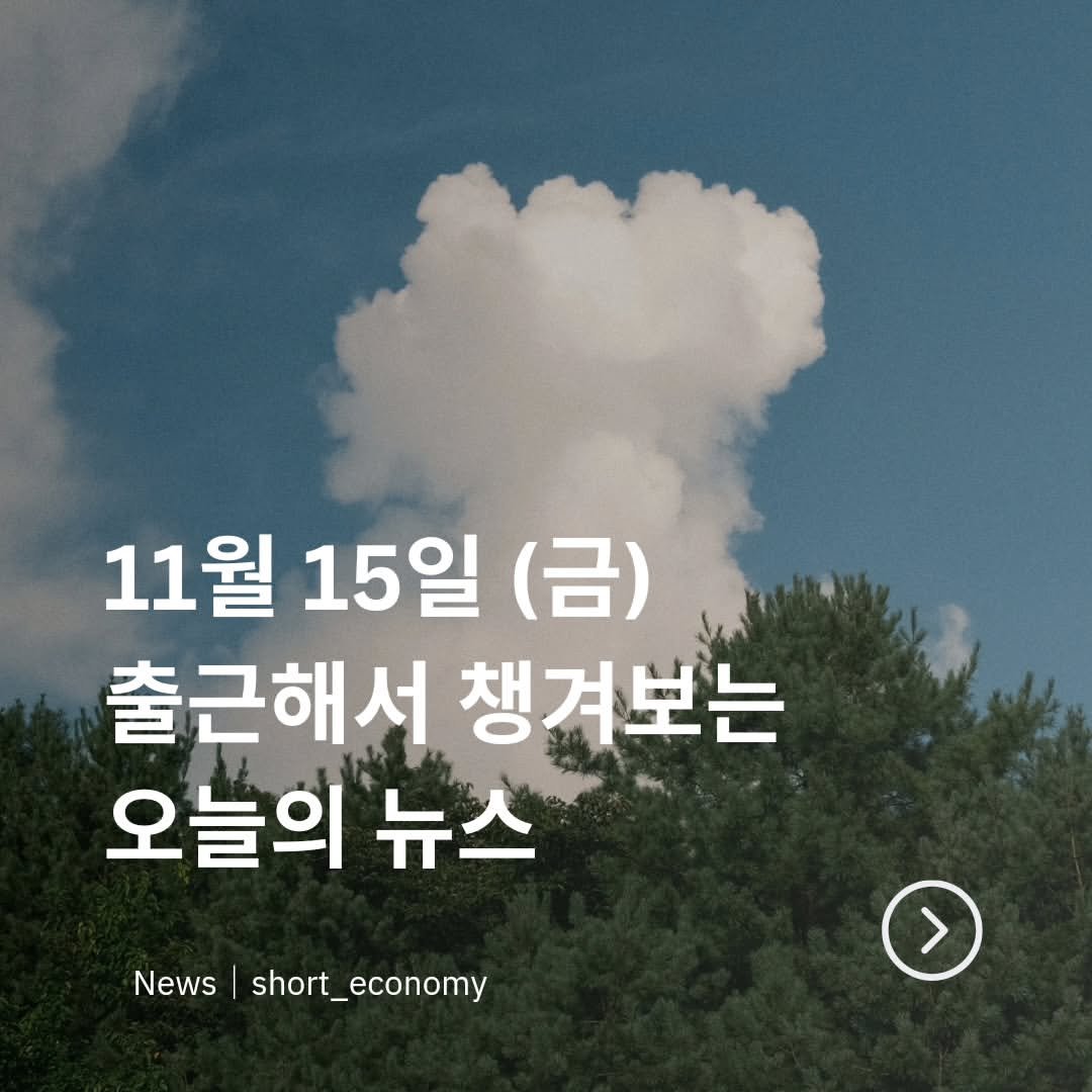 Photo by 경제 뉴스 | 이슈 | 주식투자 | 숏이코노미 | 숏코노미 on November 14, 2024.