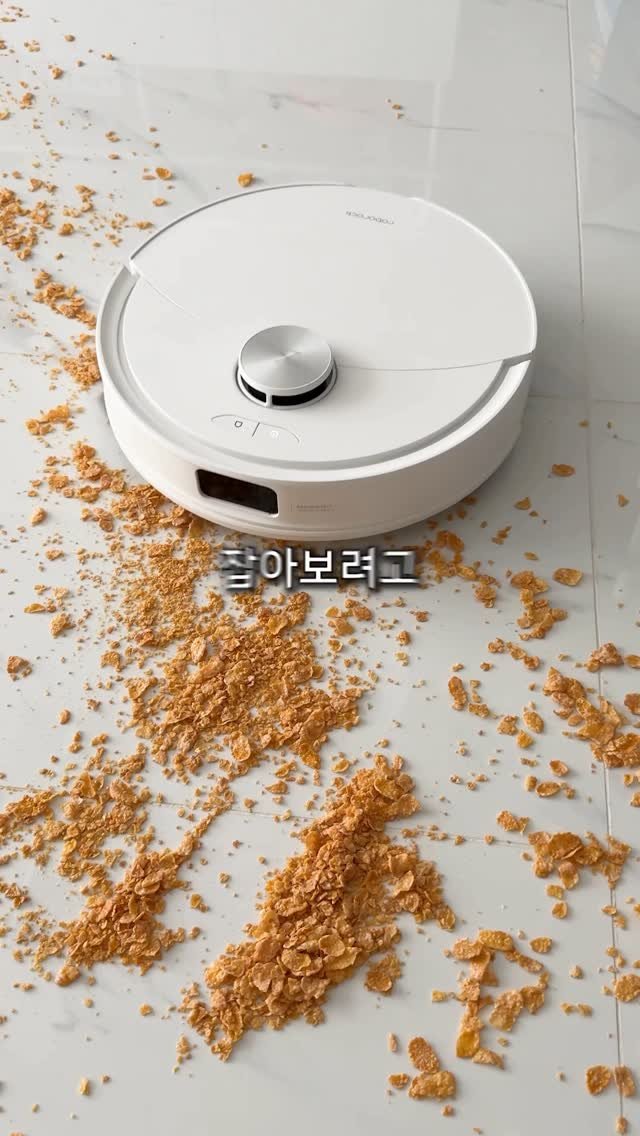 shortjisik 게시물 이미지: 로봇청소기로 모기 참교육하기 #모기 #로봇청소기 #꿀팁 #꿀템