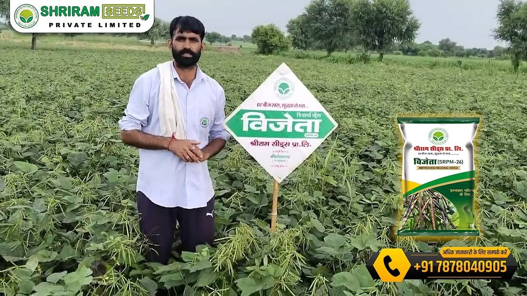 shriramseeds 게시물 이미지: भरोसे की पहचान — #विजेता 𝐒𝐑𝐏𝐌-𝟐𝟔 रिसर्च मूंग...