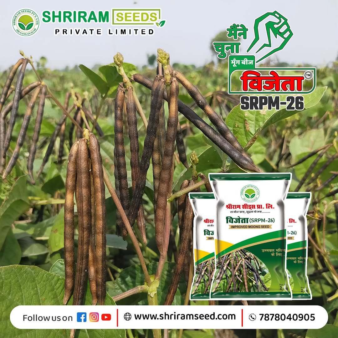 shriramseeds 게시물 이미지: हर किसान चाहता है ऐसा खेत,
जहाँ हर शाखा फलियों...