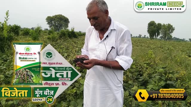shriramseeds 게시물 이미지: #विजेता 𝐒𝐑𝐏𝐌-𝟐𝟔  मूँग बीज। 💪🌾
सिर्फ एक बीज...
