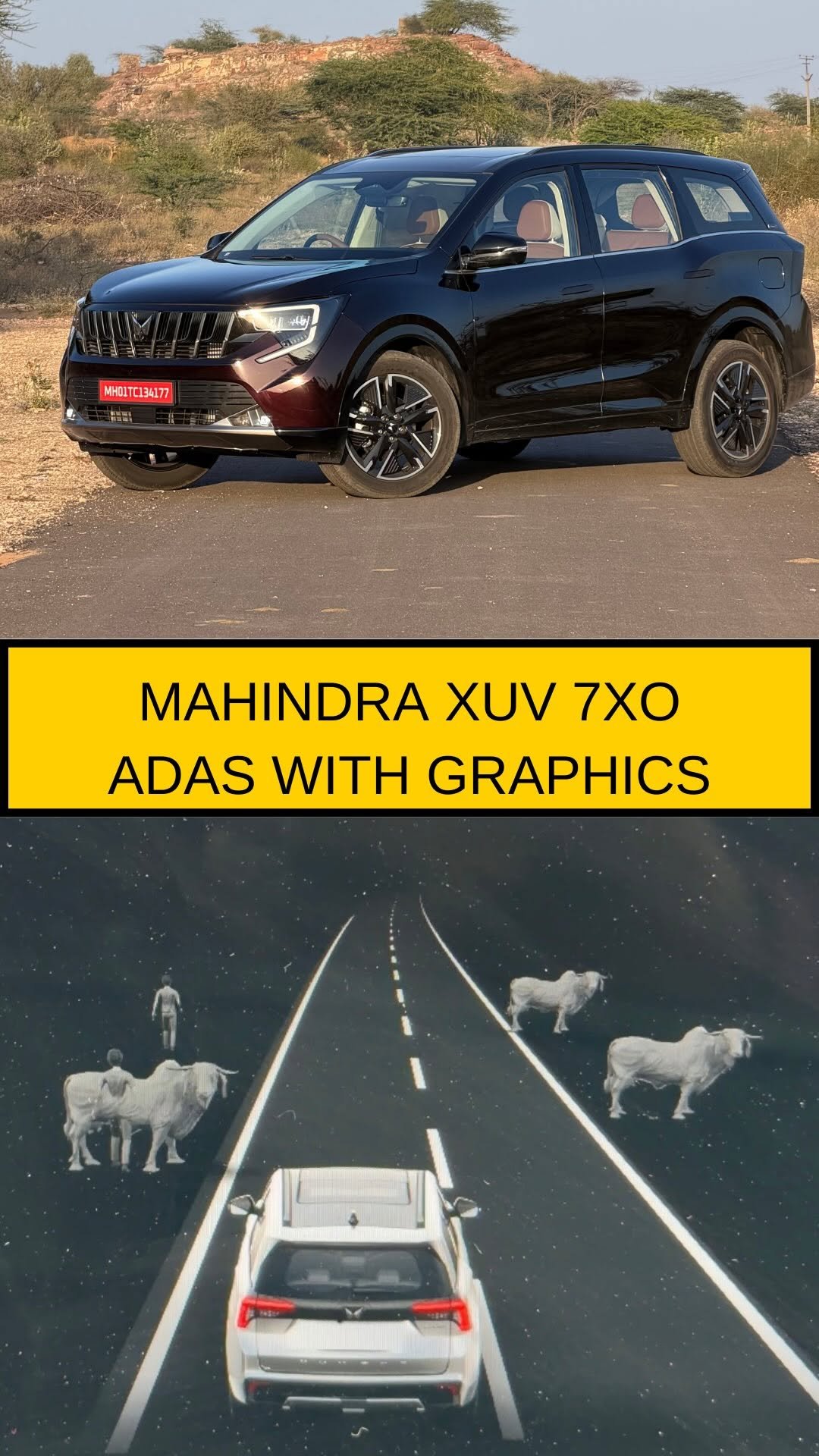 shutterdrives 게시물 이미지: This car can detect cows on the road 🐄 before...