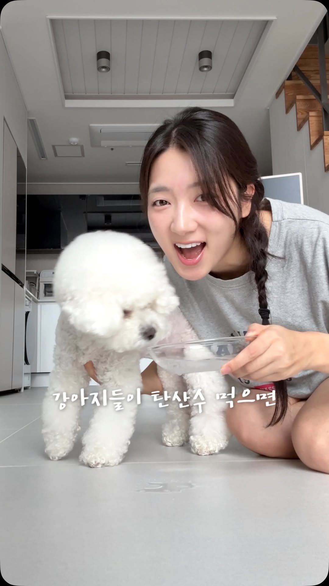 sieunniya_ 게시물 이미지: 강아지가 탄산수 먹었을 때 리얼 반응 ㄷㄷ
