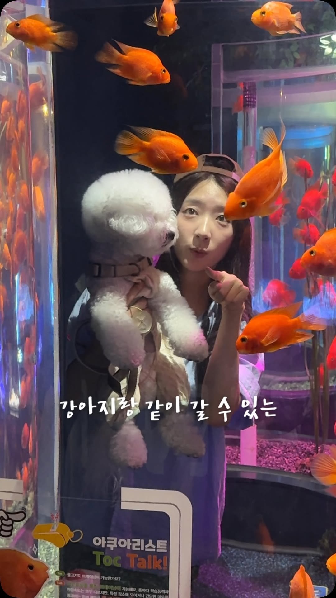 sieunniya_ 게시물 이미지: 강아지를 데리고 아쿠아리움에 갈 수 있다고? ㄷㄷ