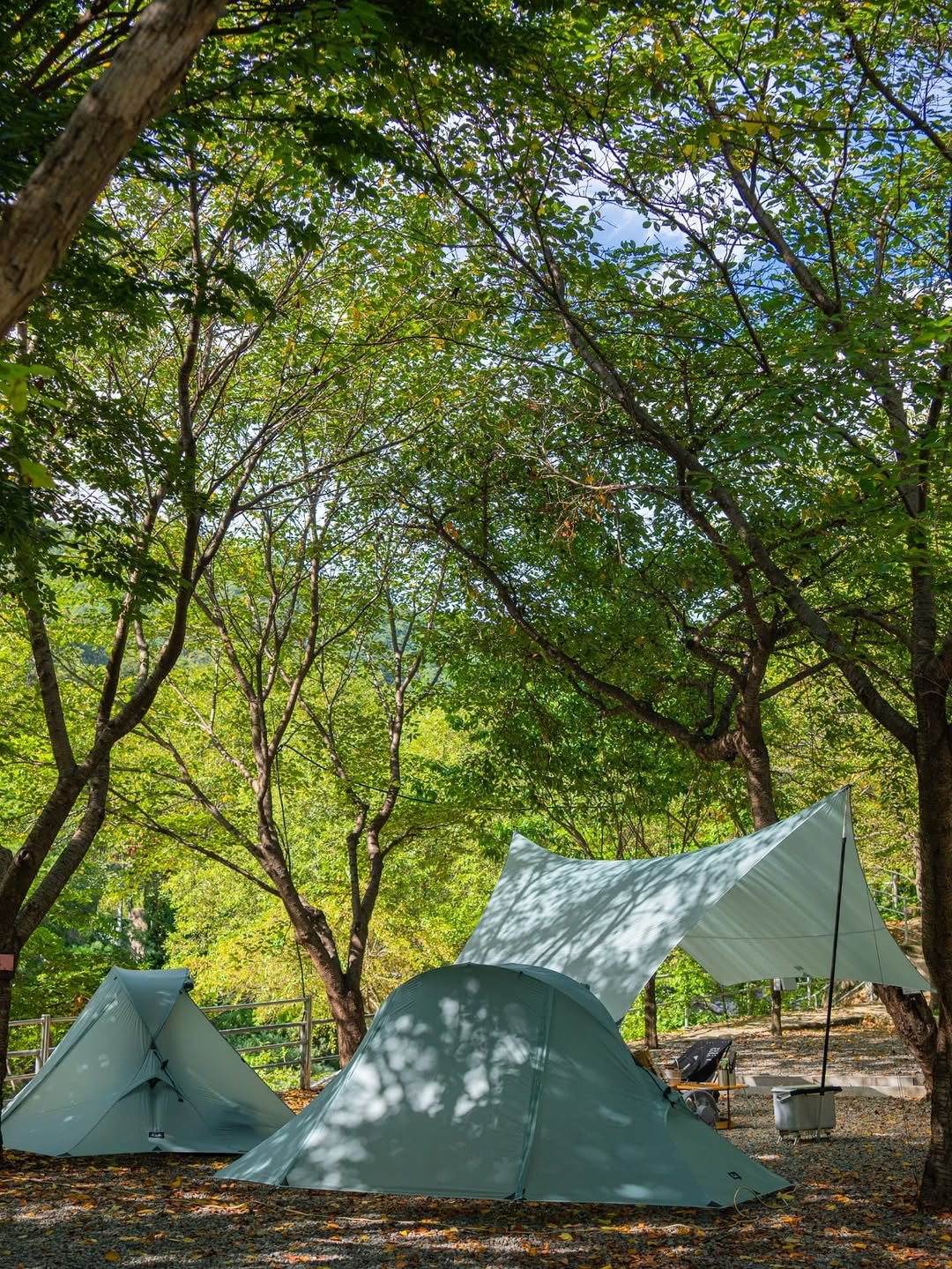 Photo shared by 🍃시기 캠프 on September 10, 2025 tagging @ladit.official. May be an image of campsite, outdoors and text.