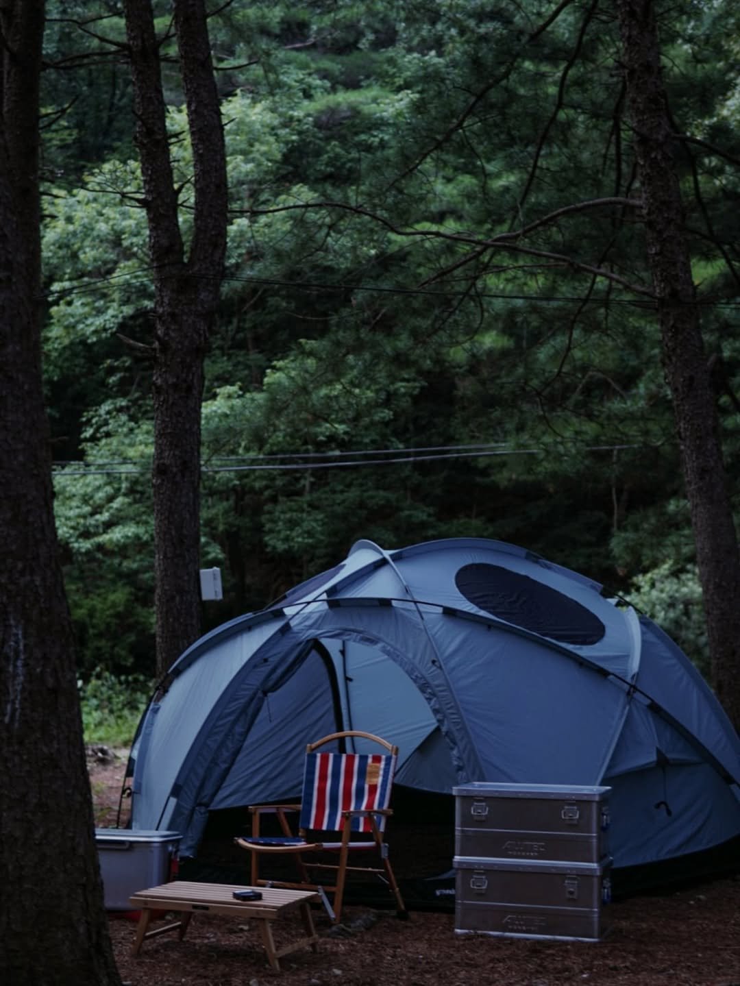 Photo by 🍃시기 캠프 on August 11, 2025.