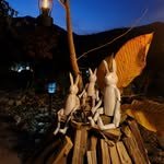 camperdr 프로필 사진