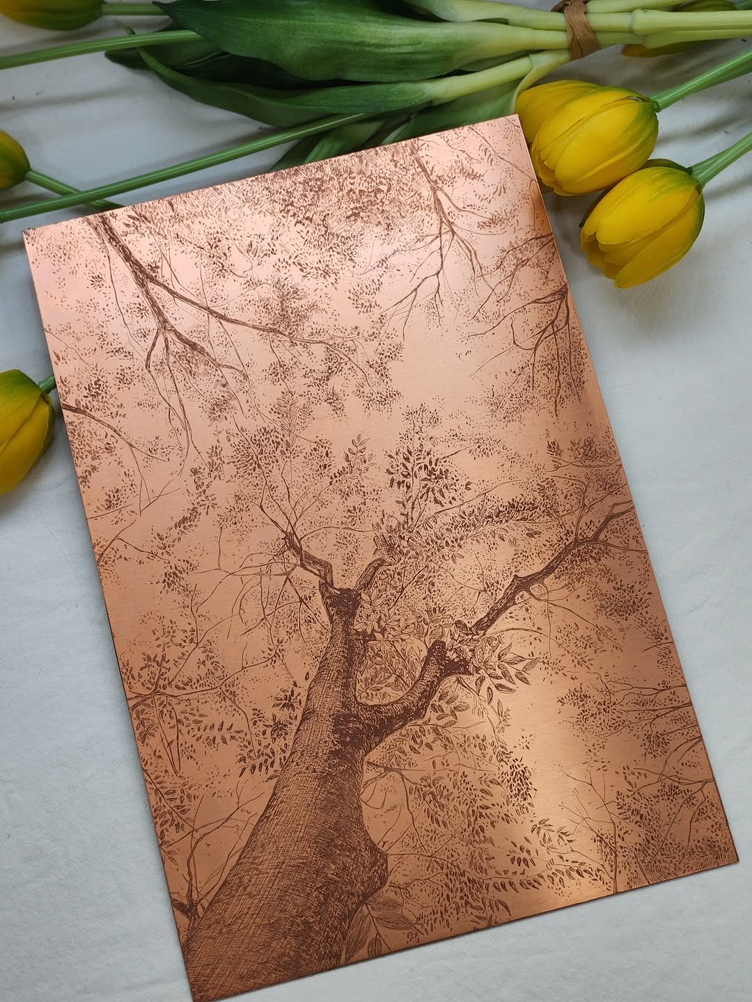 Photo by 시그니처프린트 판화그림공방 on September 29, 2025. May be an image of copper and text.