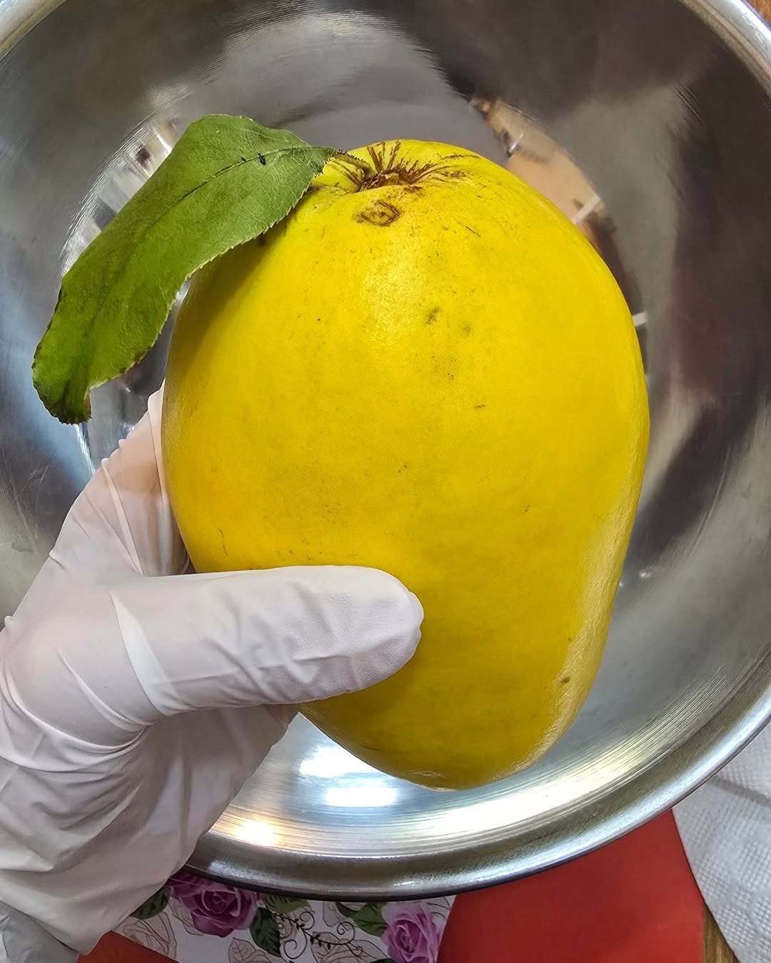 Photo by 시골맘써니 🌱 귀촌 워킹맘의 작은학교•자연육아 on November 03, 2025. May be an image of grapefruit, pomelo, fruit cocktail and text.