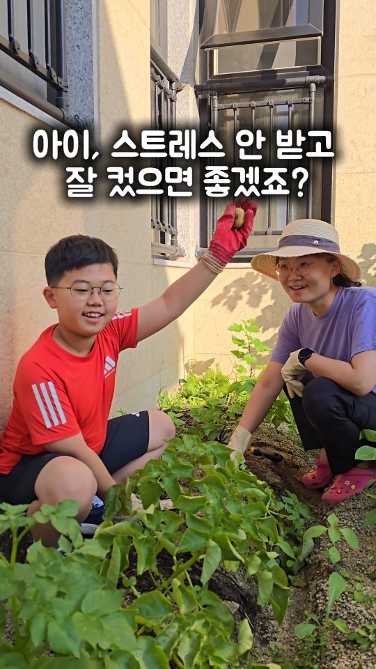 sigolmom_sunny 게시물 이미지: 아이가 스트레스 받는 걸 두려워하지 마세요.🖐

얼마전 한 교장선생님과의 인터뷰에서...