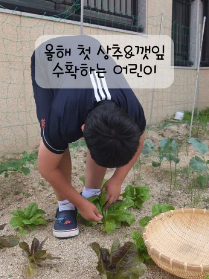 sigolmom_sunny 게시물 이미지: 시골에 살다보면 다양한 나눔을 받는다.

오늘 점심은 된장할매가 만들어주신 옻백숙을...