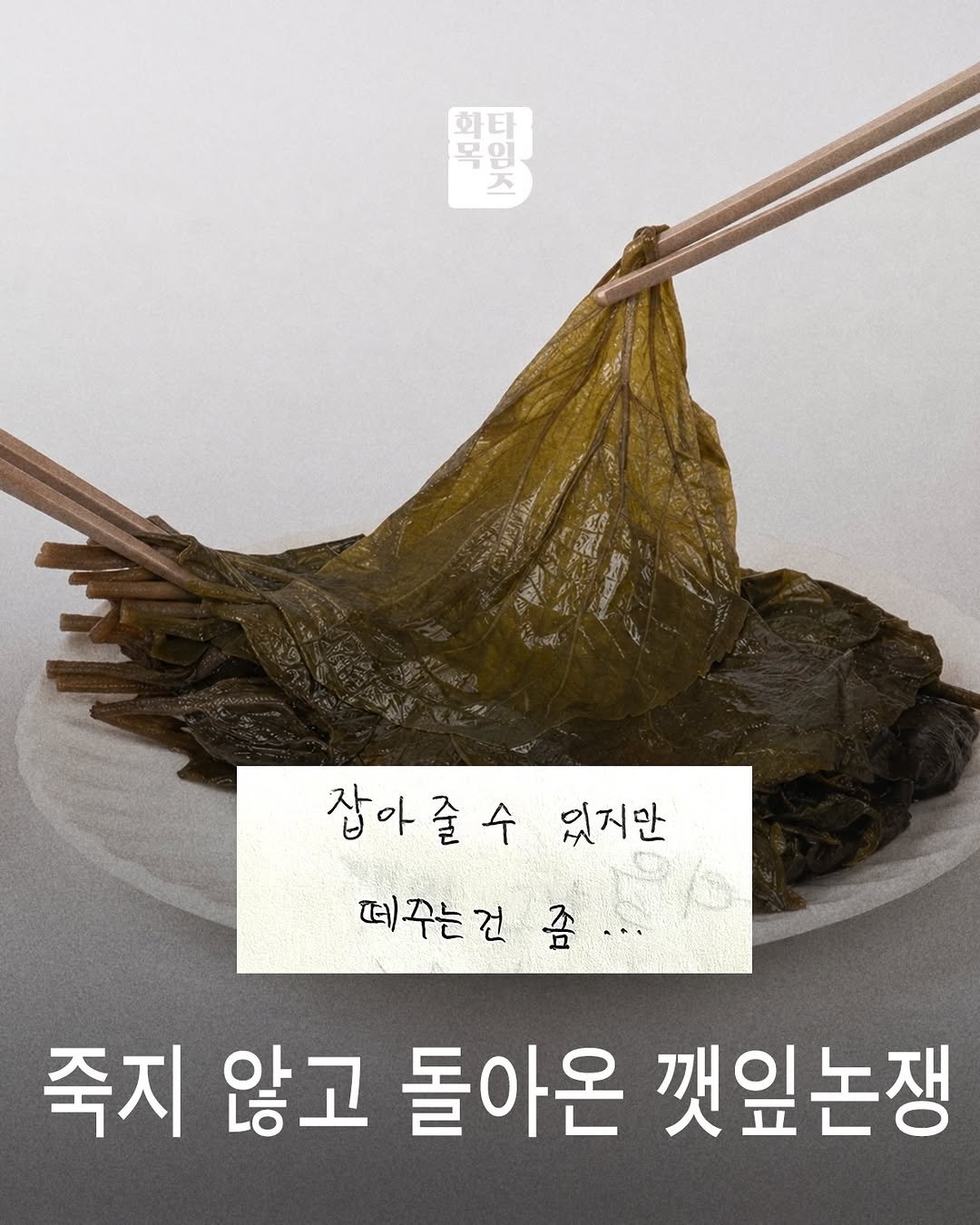 Photo by 🏠시도 플레이스[연희동 본점] on April 28, 2026. May be an image of tofu, seaweed and text that says 'ন Tor 모 그원지 임 নন| 0K 잡아줄수 있지만 떠주는건죠 좀.. 좀 떠주는건 죽지 않고 돌아온 깻잎논쟁'.