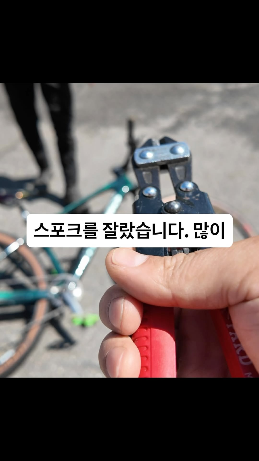 sikss_lee 게시물 이미지: 산악 자전거 휠은 얼마나 튼튼할까?
.
#리바쇼 #자전거정비 #휠셋 #산악자전거 #로드바이크