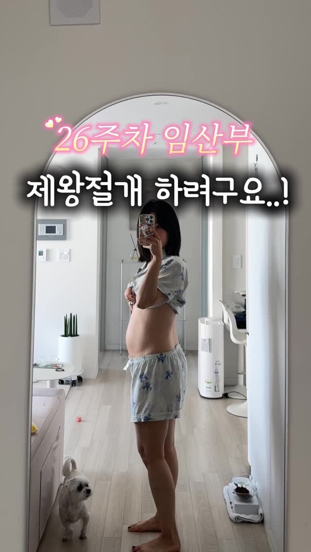 silky_health 게시물 이미지: 저는 선택 제왕 하려고 해요!

일단 진통이 너무 무서워서 겪고 싶지 않고
힘들게...