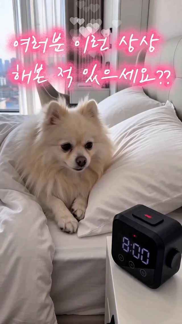 silver_peachhip 게시물 이미지: .
취향저격 릴스🩷🐶
너무 귀요워 미쳐..평생 소장각이야 ㅜㅜ
우리아가 일상 엿보기...