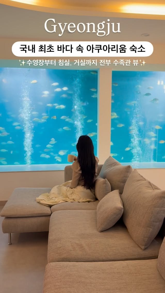 silvery_ooo 게시물 이미지: 무료 숙박권 이벤트✨한 번에 8명까지 숙박 가능한 초대형 아쿠아리움...