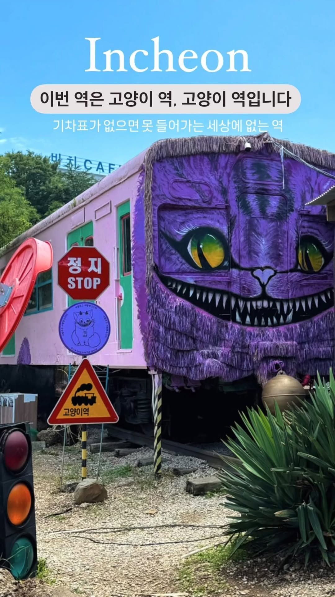 silvery_ooo 게시물 이미지: 고양이 100마리가 사는 한국의 숨겨진 지하철역🐈 
(서울 근교 이색...