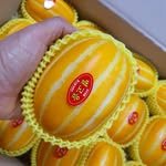 star_melontown 프로필 사진