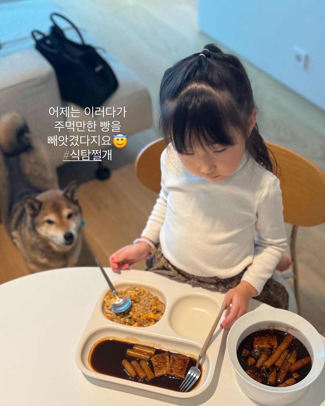 Photo by simplyrecipe / 심플리레시피 (정하윤) on February 05, 2026. May be an image of placemat and text that says '어제는 이러다가 주먹만한 빵을 빼 빼앗겼다지요 #식탐쩔개'.