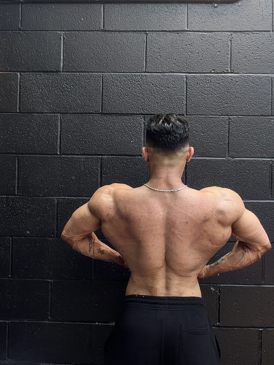 sina.kavosh 게시물 이미지: today’s Back day dump, energy is still good...
