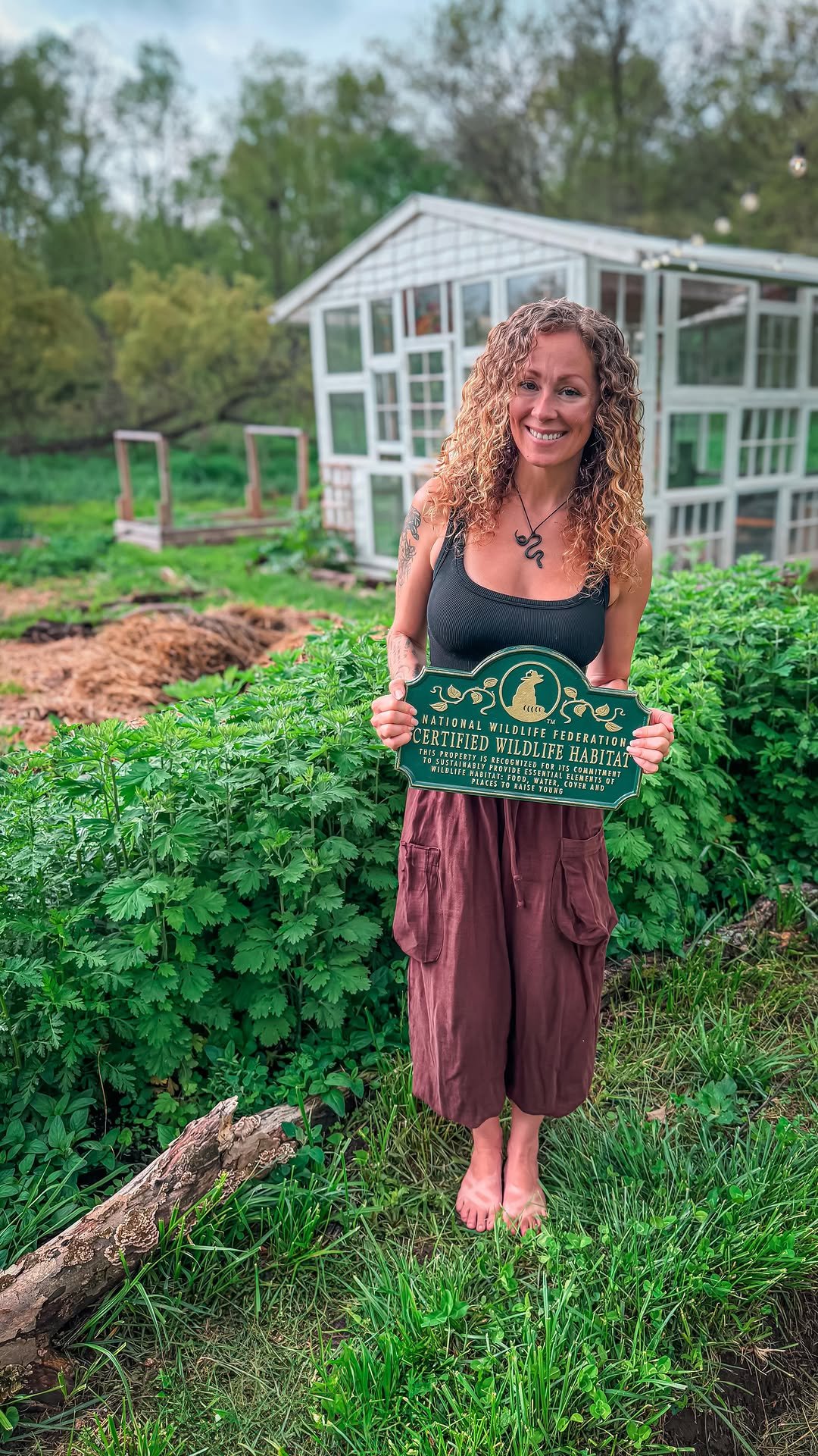 sincewewokeup 게시물 이미지: Did you know the Monarch population decreased...