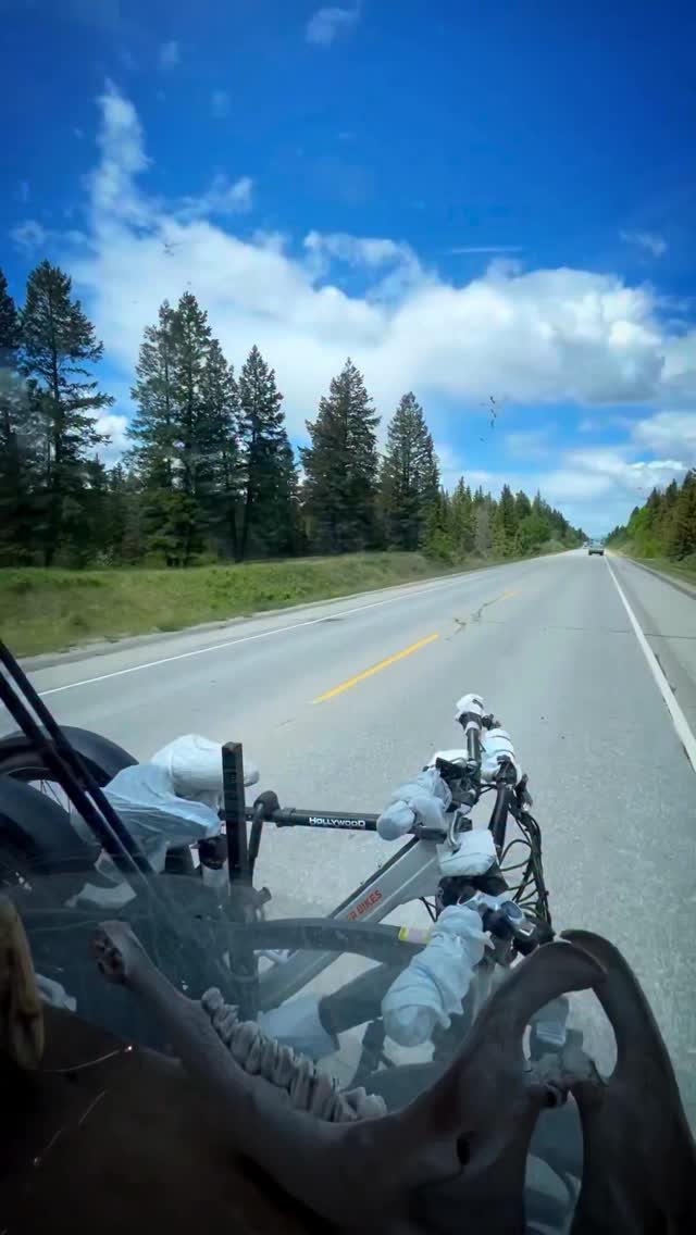 sincewewokeup 게시물 이미지: Every year I repost this, my favorite video...