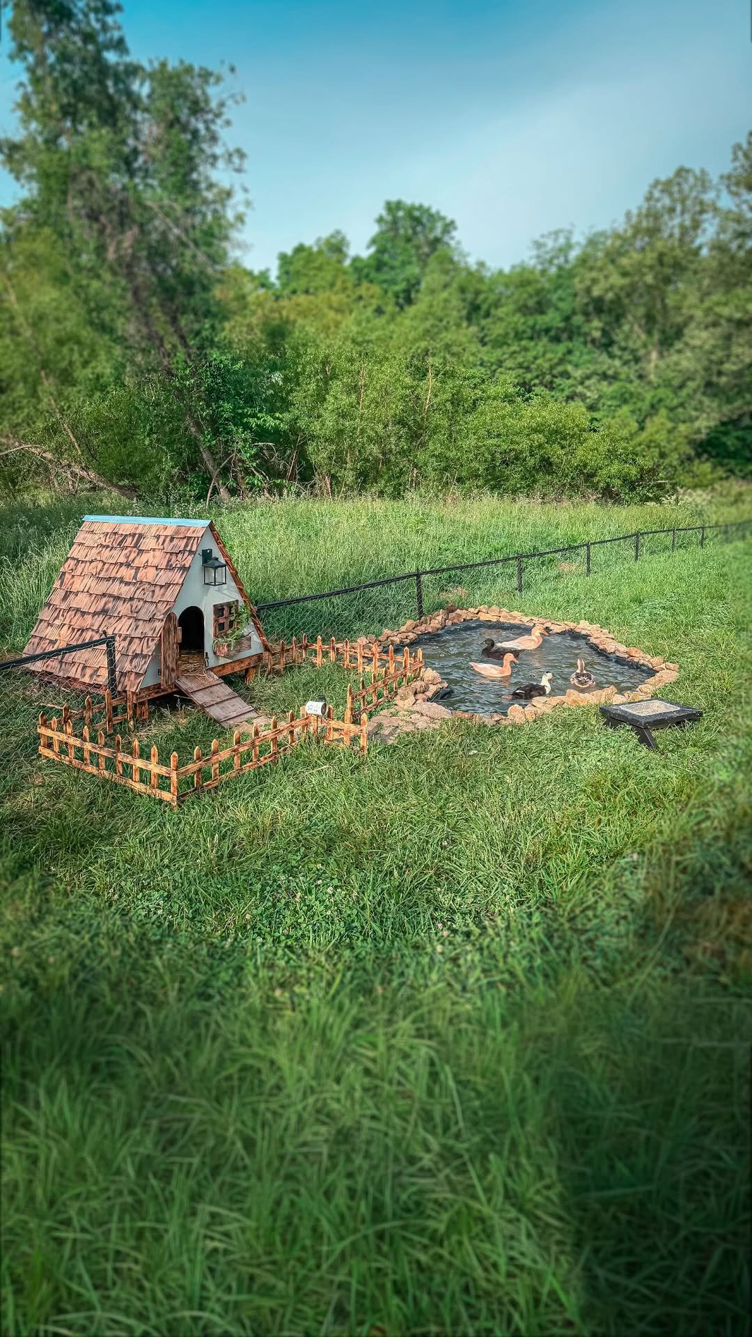 sincewewokeup 게시물 이미지: Don’t mind me and the ducks, just over here...