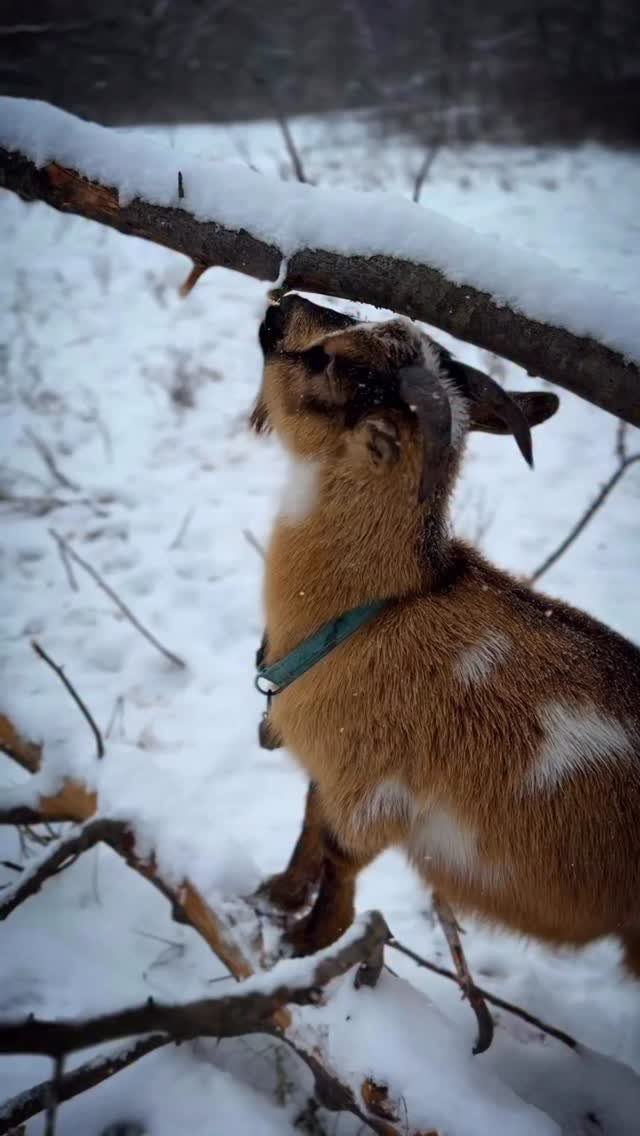 sincewewokeup 게시물 이미지: AD I🔋☀️This time of year, we get a ton of...