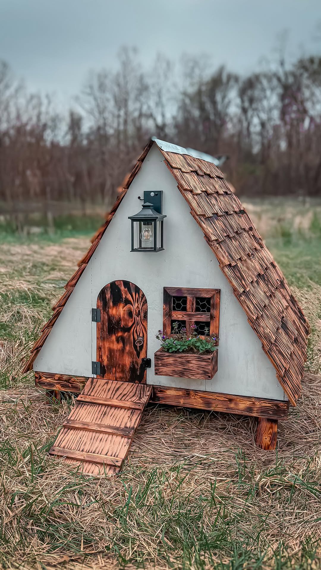 sincewewokeup 게시물 이미지: This week the girls moved into the Quack...