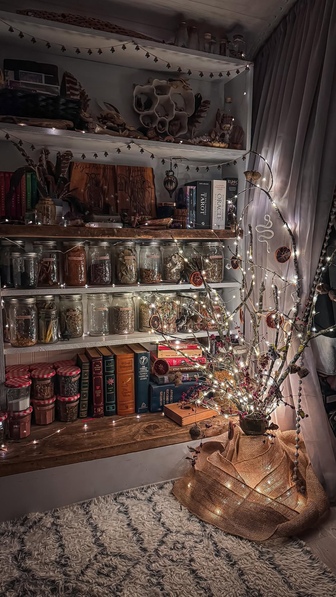 sincewewokeup 게시물 이미지: I wanted an untraditional tree this year, and...