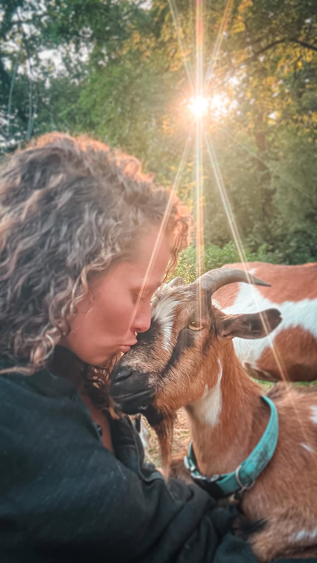 sincewewokeup 게시물 이미지: This summer carried on the steady rhythm of...