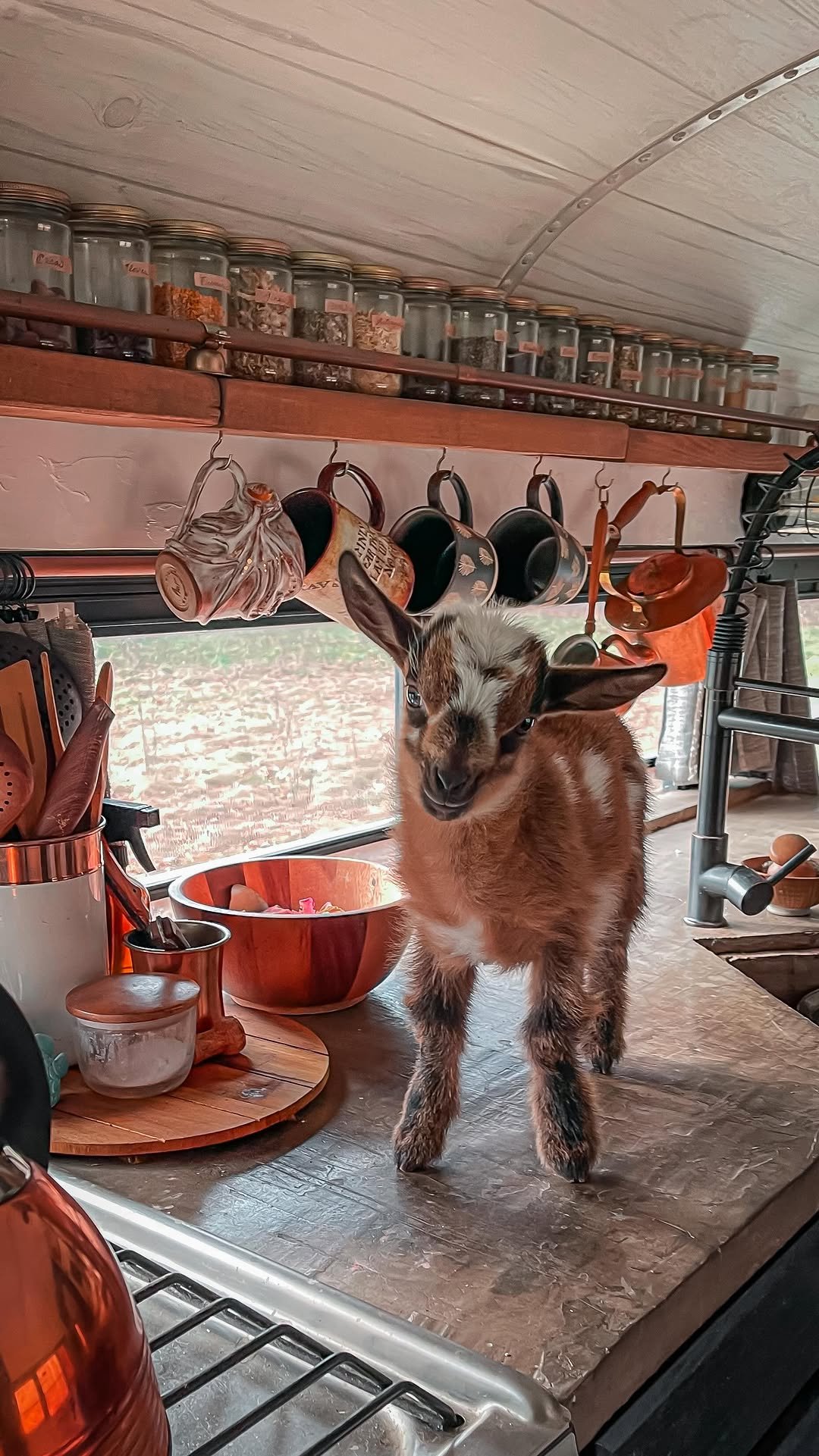 sincewewokeup 게시물 이미지: Two Years with Yul ✨
•
If you’ve been around,...