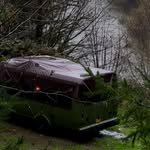 treehousebus 프로필 사진