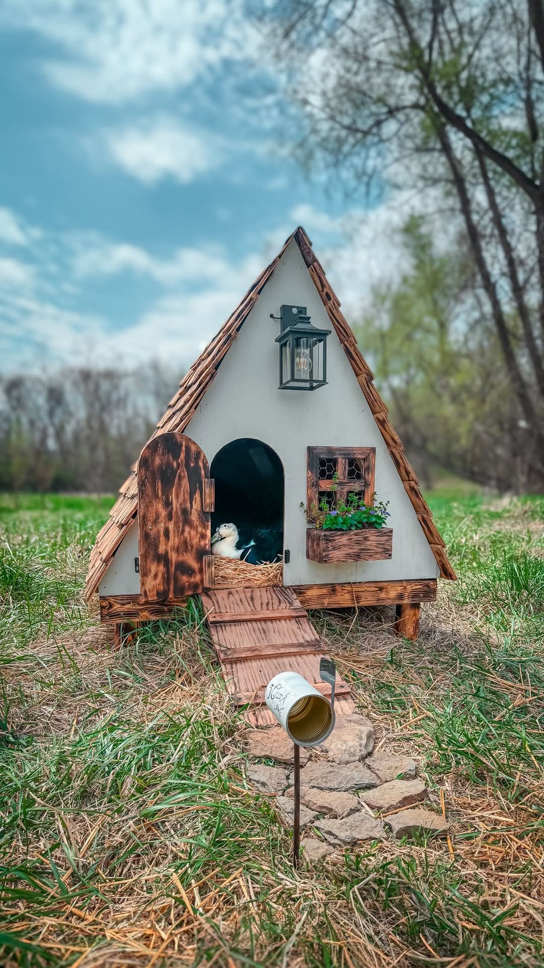 sincewewokeup 게시물 이미지: Autumn at the Quack Shack 🦆