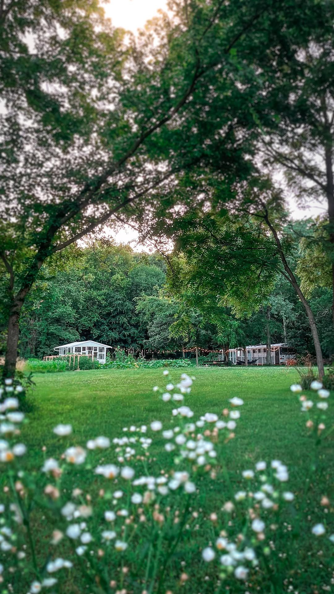 sincewewokeup 게시물 이미지: Our story…
•
Hi my name is Tawny, and this is...