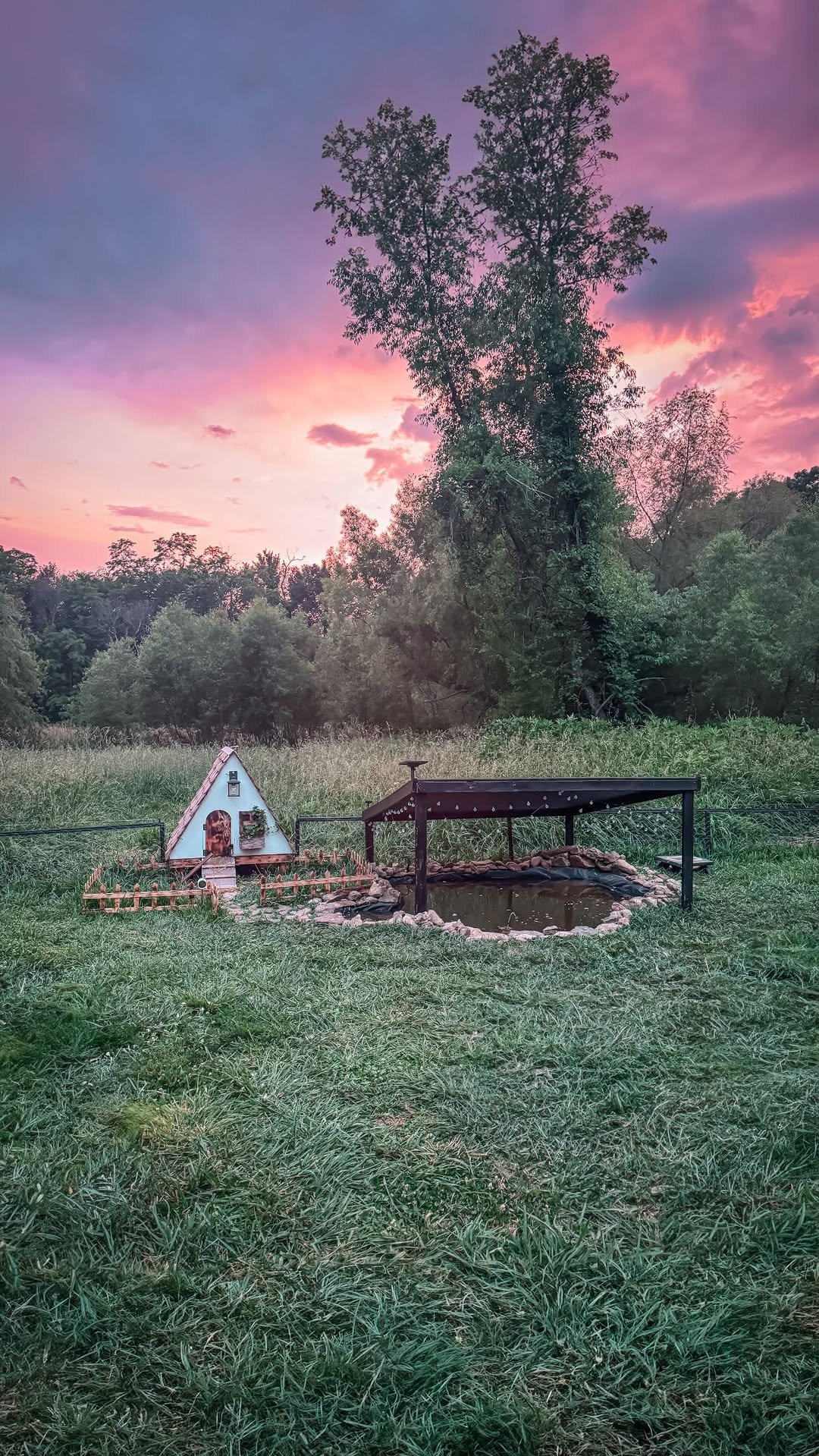 sincewewokeup 게시물 이미지: A day in the life of Pigwidgeon, Peregrine,...