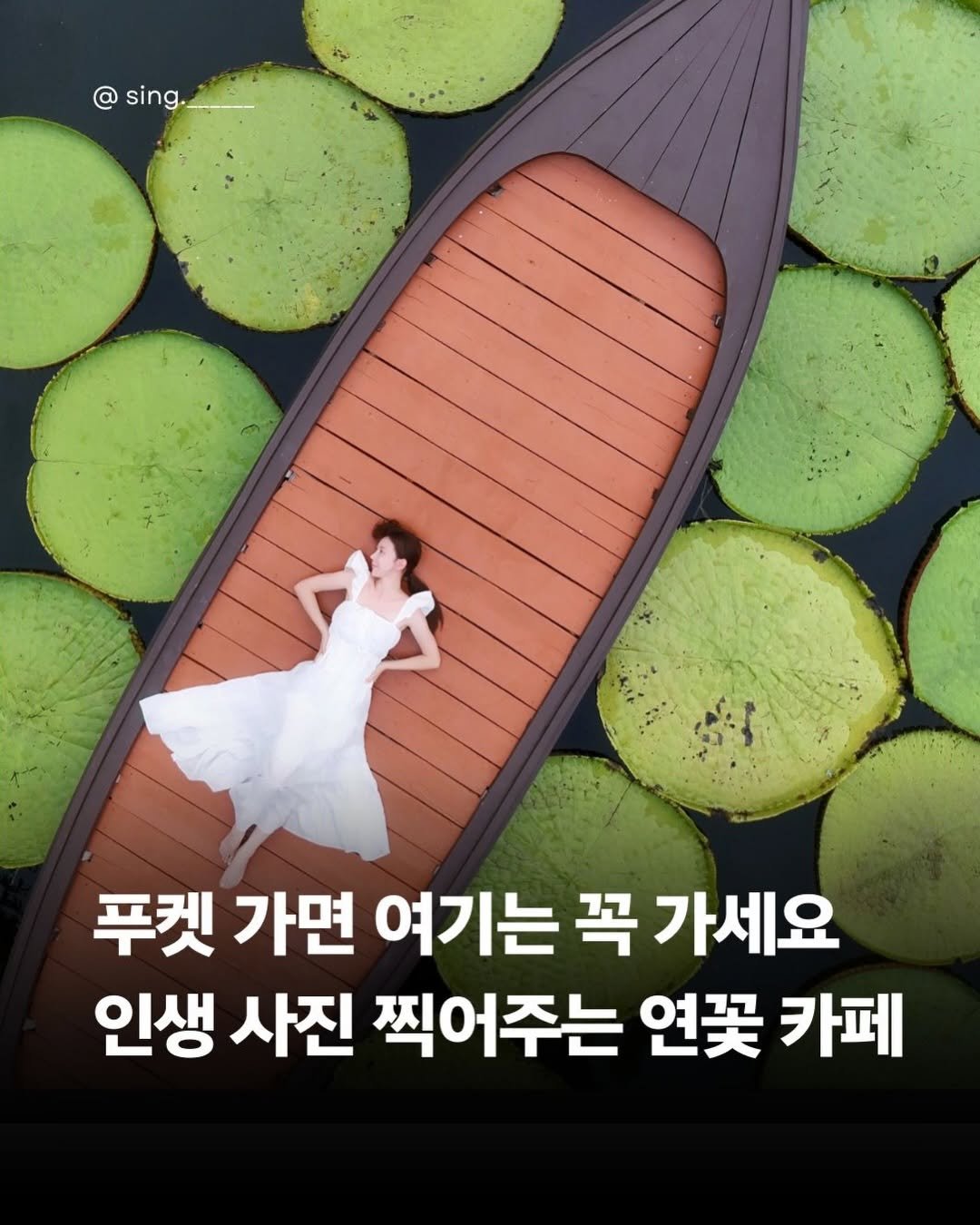sing.______ 게시물 이미지: 태국🇹🇭푸켓에 간다면 여기는 꼭 저장하세요.🤍

연꽃으로 가득한 연못 위...