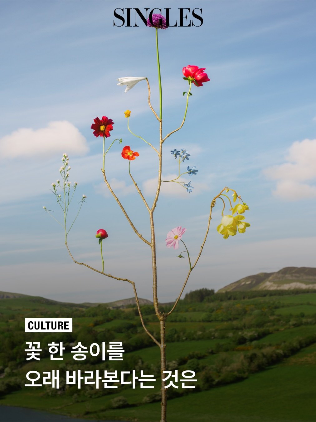 singlesmagazine 게시물 이미지: #SINGLES_ART
밴쿠버 기반으로 활동하는 작가 제니퍼...