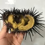 yonggipo 프로필 사진