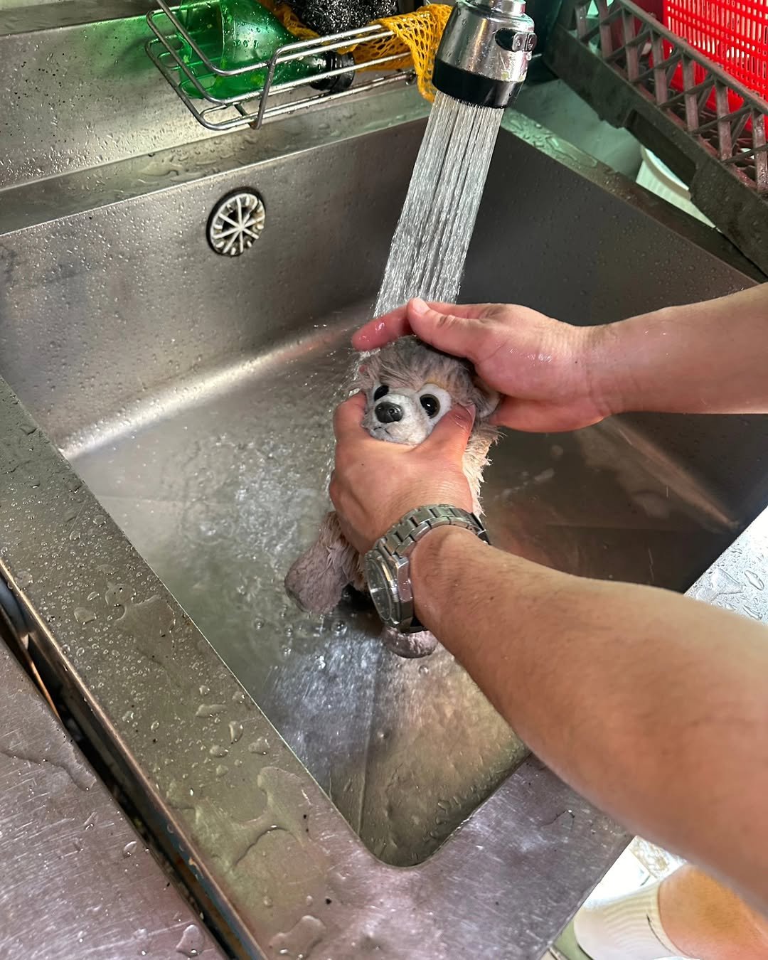 Photo by 신포동식당 on June 07, 2025.