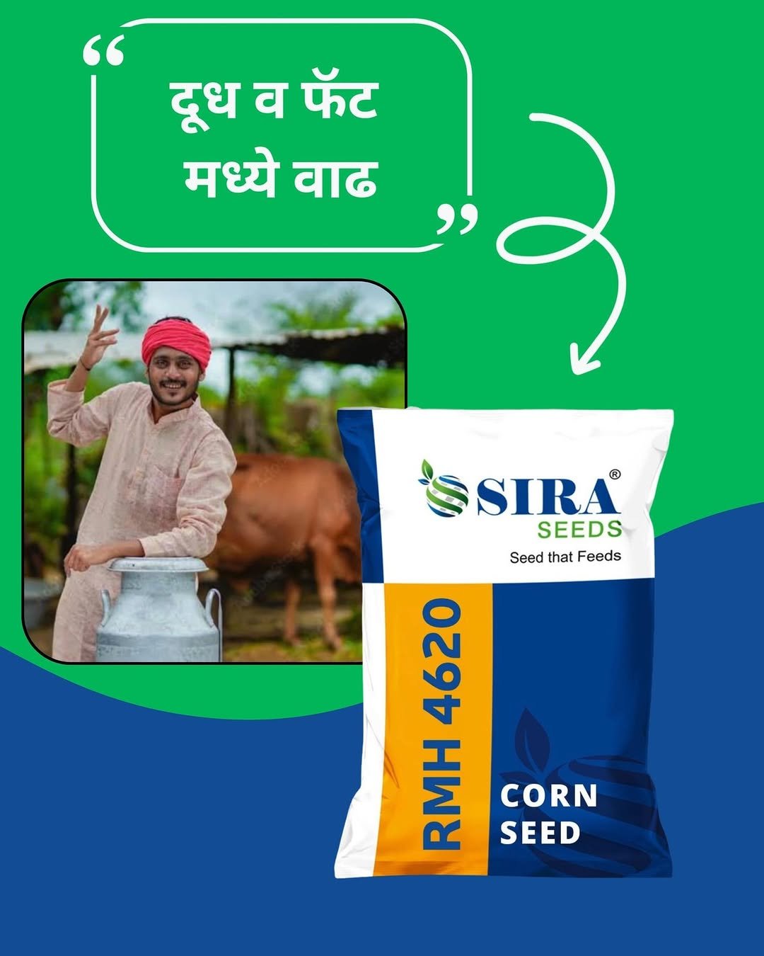 siraseedsforage 게시물 이미지: 