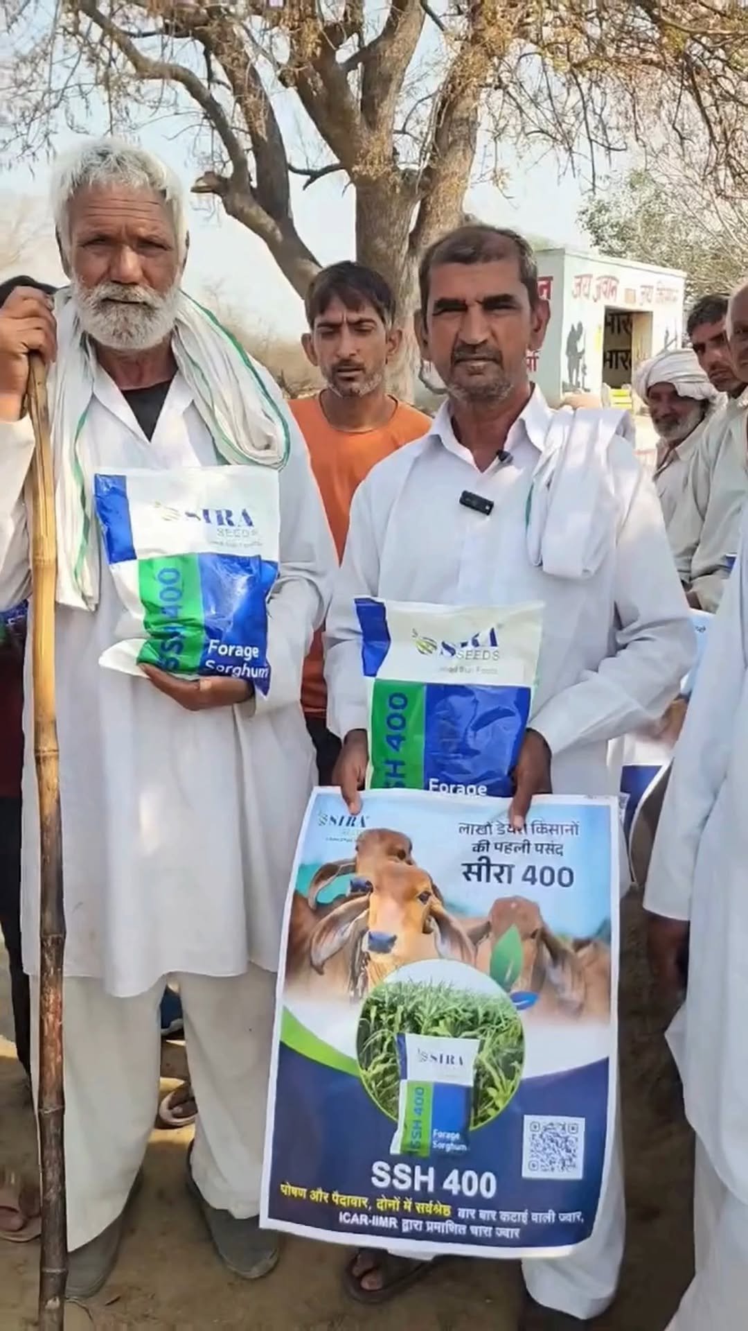 siraseedsforage 게시물 이미지: लाखों डेयरी किसानो की पहली पसंद - सीरा 400...